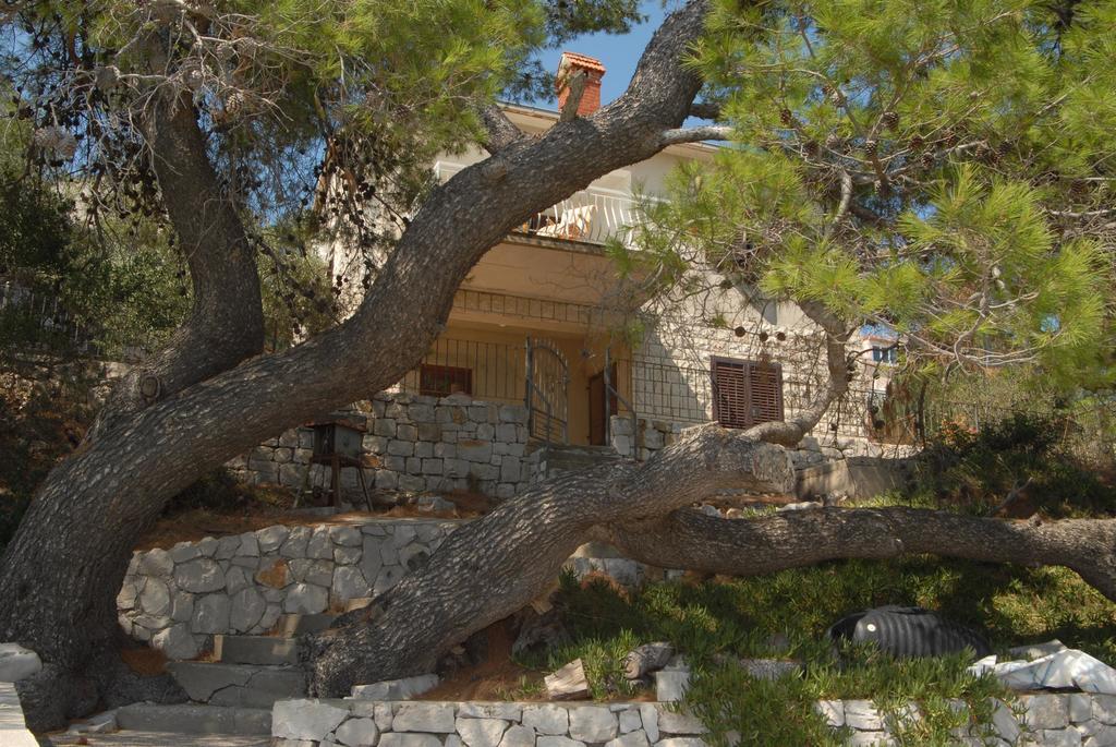Vila House Andrea Lastovo Exteriér fotografie
